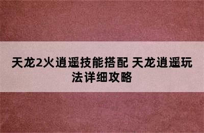 天龙2火逍遥技能搭配 天龙逍遥玩法详细攻略